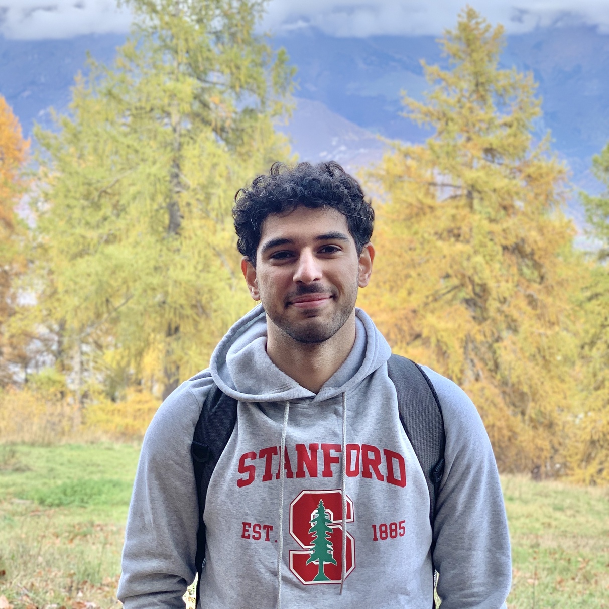 Hi! I'm Mehdi Nickzamir